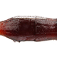 Illustration for article titled A Woman Died from Drinking Too Much Coca Cola